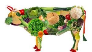 O crescimento do veganismo no Brasil e as alternativas no mercado